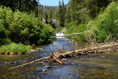 DSC_9911 (Large).JPG